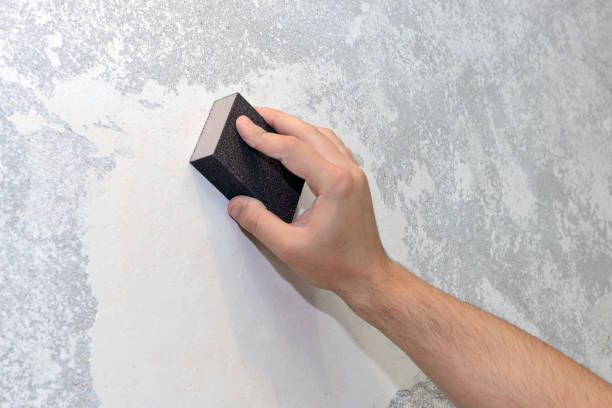 Best Airborne Mold Testing  in Lecanto, FL