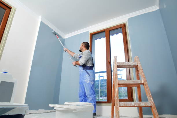 Professional Mold Removal in Lecanto, FL