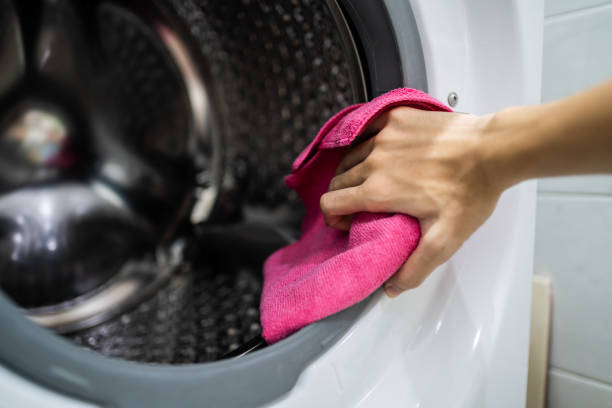 Best Dehumidification Services  in Lecanto, FL