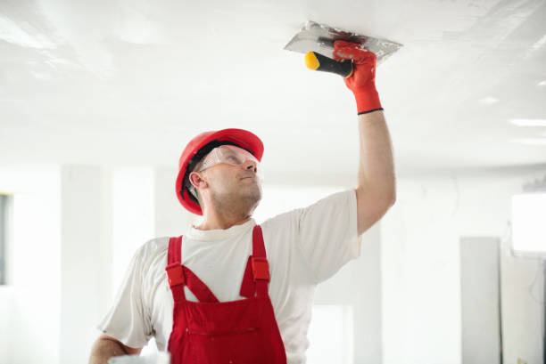 Dehumidification Services in Lecanto, FL
