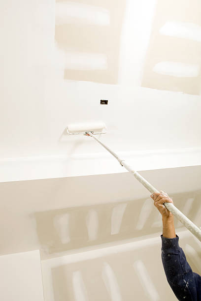 Best Mold Documentation for Insurance Claims  in Lecanto, FL