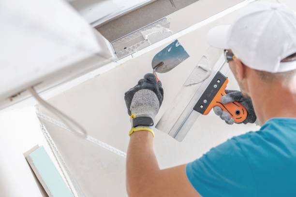 Best Black Mold Removal  in Lecanto, FL